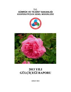 2013 G&uuml;l&ccedil;i&ccedil;eği Raporu - G&uuml;mr&uuml;k ve Ticaret Bakanlığı Kooperatif&ccedil;ilik