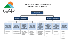 gap idaresi merkez teşkilatı organizasyon şeması