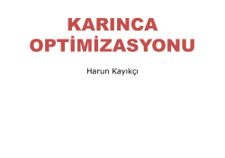 Karınca Algoritması