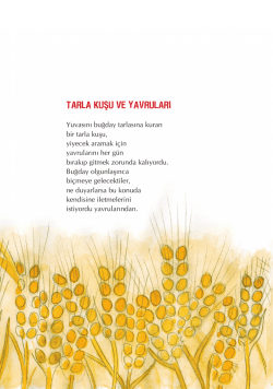 tarla kuşu ve yavruları