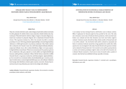 &Ouml;ZET (PDF) - Akuademi.Net