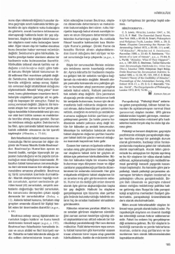 TDV DIA - İslam Ansiklopedisi