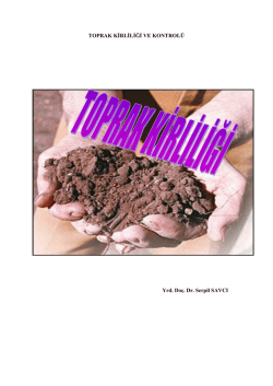 toprak kirleticiler2