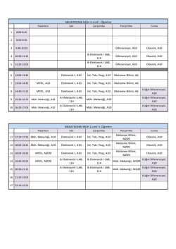 Diferansiyel, A10 Olasılık, A10 B-Elektronik I LAB, 114 Diferansiyel