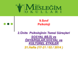 Sosyal Biliş ve &Ouml;nyargılar, Sosyal ve K&uuml;lt&uuml;rel Etkiler