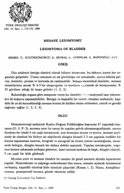 Tam Metin (PDF)