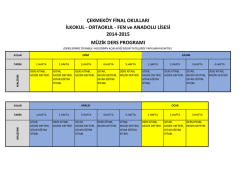 FEN ve ANADOLU LİSESİ 2014-2015 M&Uuml;ZİK DERS PROGRAMI