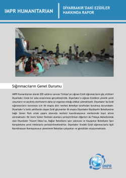 Diyarbakır - IMPR Humanitarian
