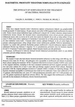 Tam Metin (PDF)