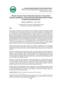 Mersin-Anamur Y&ouml;resi Ormanlarında Zarar Yapan
