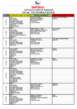 antalya sınav koleji ocak ayı yemek listesi