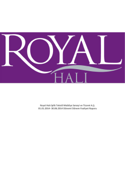 30.06.2014 D&ouml;nemi D&ouml;nem Faaliyet Raporu