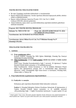 Teknik Destek ve Nihai Rapor