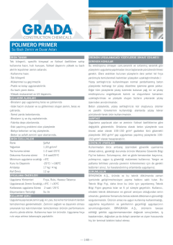 POLIMERO PRIMER