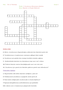 Besinler_ve_Dengeli_Beslenme_Bulmaca