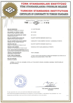 TS 823 Troy Markalı 6.0 Lt Rezervuarlar 468 KB