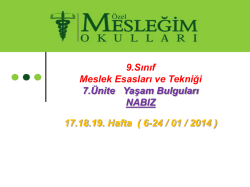 Nabız