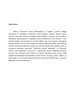 Cv T&uuml;rk&ccedil;e - İstanbul Bilgi &Uuml;niversitesi