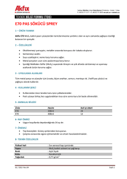 E70 PAS SÖKÜCÜ SPREY