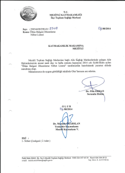 mezitli kaymakamlığı