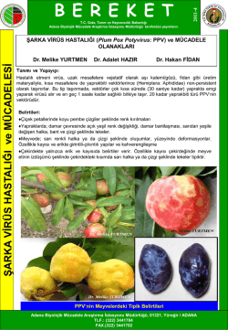 Şarka Virüs Hastalığı - TC Gıda Tarım ve Hayvancılık Bakanlığı