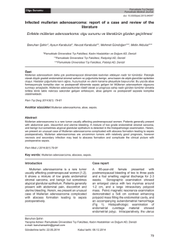 8.cilt 1. sayı.indd