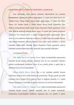 Proje Kapsamında Y&uuml;r&uuml;t&uuml;lecek Bilimsel &Ccedil;alışmalar