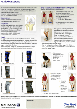 MENisK&uuml;s LEzYoNu