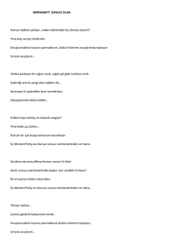 Muğla&acute;da birinciyiz...
