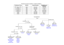 Fonksiyonel gruplu bileşikler ve fiziksel &ouml;zellikleri
