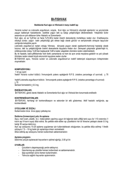 bı-fıshvax - G&uuml;neşli Aşı