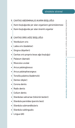 sindirim sistemi