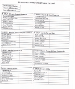 Maarif M&uuml;fettişleri