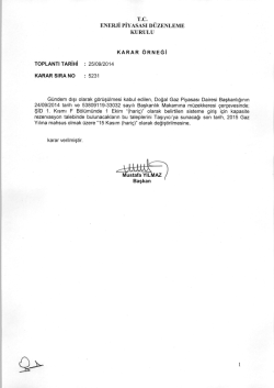 "(hari&ccedil;)" olarak belirtilen sisteme giriş i&ccedil;in kapasite