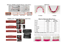 Mini Set Dişlerinin Birim Fiyatı