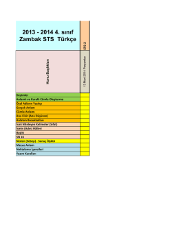 2013 - 2014 4. sınıf Zambak STS T&uuml;rk&ccedil;e