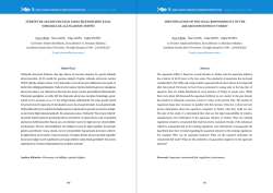 &Ouml;ZET (PDF) - Akuademi.Net