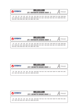 LYS 1 MATEMATİK DENEME SINAVI