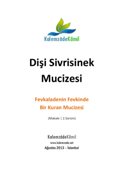 Dişi Sivrisinek Mucizesi