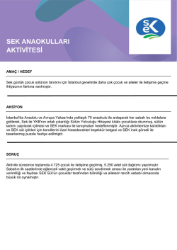 SEK Anaokulları Aktivitesi