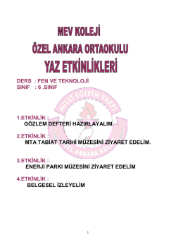 6. Sınıf Fen ve Teknoloji Yaz Etkinlikleri
