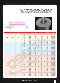 KUYRUK TAMBURU öLçÜLERi
