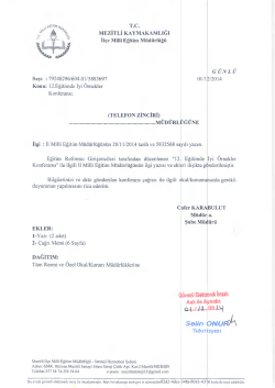 T.c. MEzİTLİ KAYMAKAMLIĞI - mersin