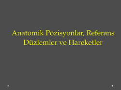 Anatomik Pozisyonlar, Referans D&uuml;zlemler ve Hareketler