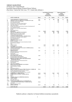 Konsolide Olmayan Finansal Tablolar - Haziran 2014