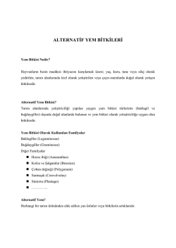 ALTERNATİF YEM BİTKİLERİ