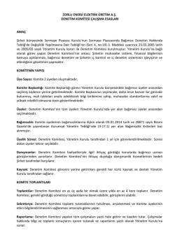 Denetim Komitesi &Ccedil;alışma Esasları