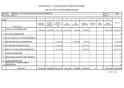Fonksiyonel Ve Ekonomik Sınıflandırma D&uuml;zeyinde İzleyen İki Yıl