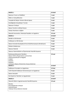 hipnoz program akışı