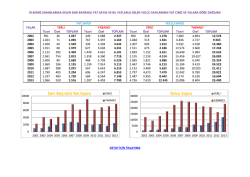 Sarı Bayraklı Yat Sayısı Yolcu Sayısı